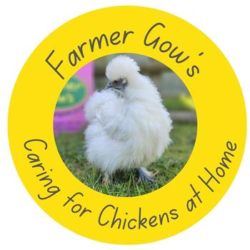 Caring for Chickens at Home