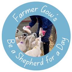 Be a Shepherd - workshop for Children