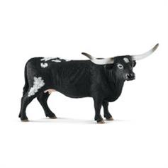 Cattle - Texas Longhorn cow