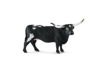 Cattle - Texas Longhorn cow