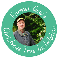 Christmas Tree Installation Service