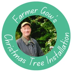 Christmas Tree Installation Service