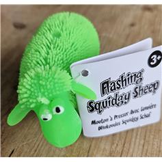 Squidgy Sheep