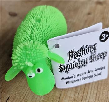 Squidgy Sheep