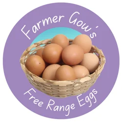 Eggs