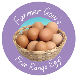 Free Range Eggs