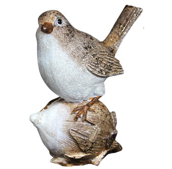 Bird on Nut