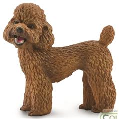 Poodle