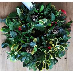 Henleaze Holly Wreath - 10" (indoor or outdoor)