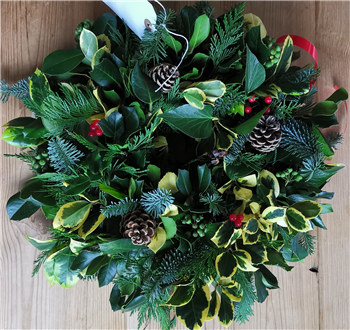 Henleaze Holly Wreath - 10" (indoor or outdoor)