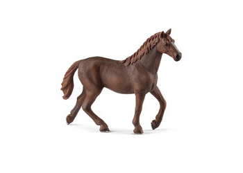 English Thoroughbred Mare