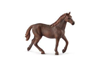 Horse - English thoroughbred mare