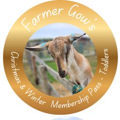 Christmas and Winter Membership Pass for Toddlers, 1-2 years