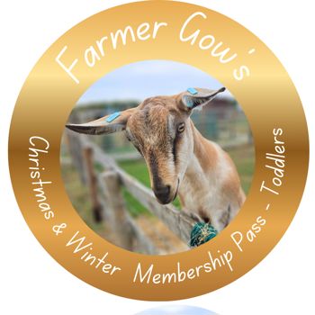 Christmas and Winter Membership Pass for Toddlers, 1-2 years