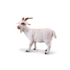 Billy Goat