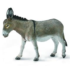Donkey