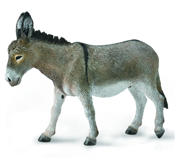 Donkey