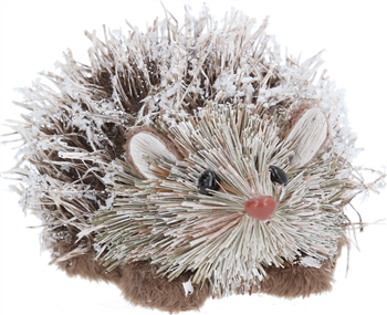 Snowy Hedgehog