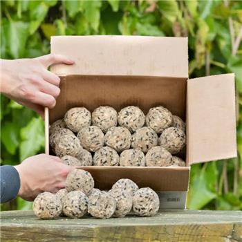 Fat Balls, box of 50