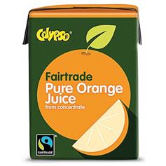 Fruit Juice - Orange