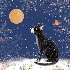 Cat Moon Gazing (Pack of 10)