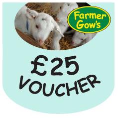 Gift Voucher - £25