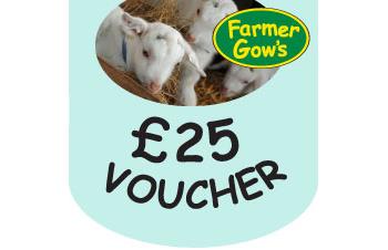 Gift Voucher - £25
