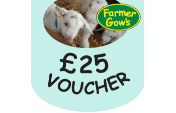 Gift Voucher - £25