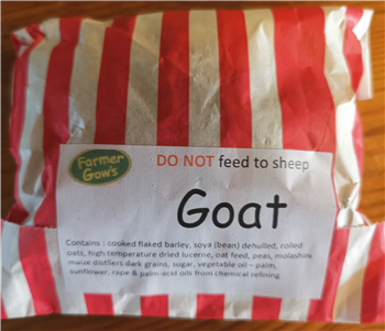 Hand Feeding - Goats