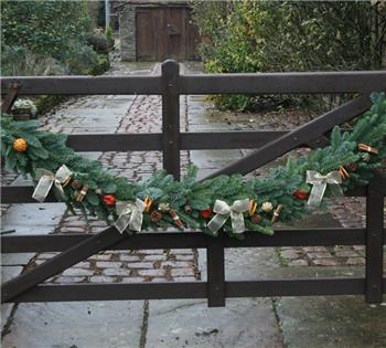 Fruity Christmas Garland - 1m