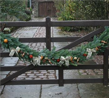 Fruity Christmas Garland - 1m