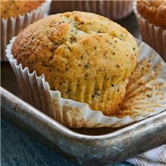 Muffin - Lemon & Poppy Seed