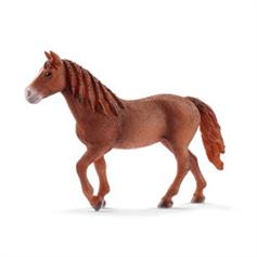 Morgan Mare