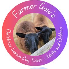 Christmas Season - Day Ticket for an Adult or Child, 3+ years