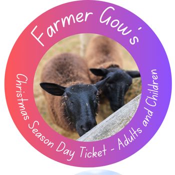 Christmas Season - Day Ticket for an Adult or Child, 3+ years
