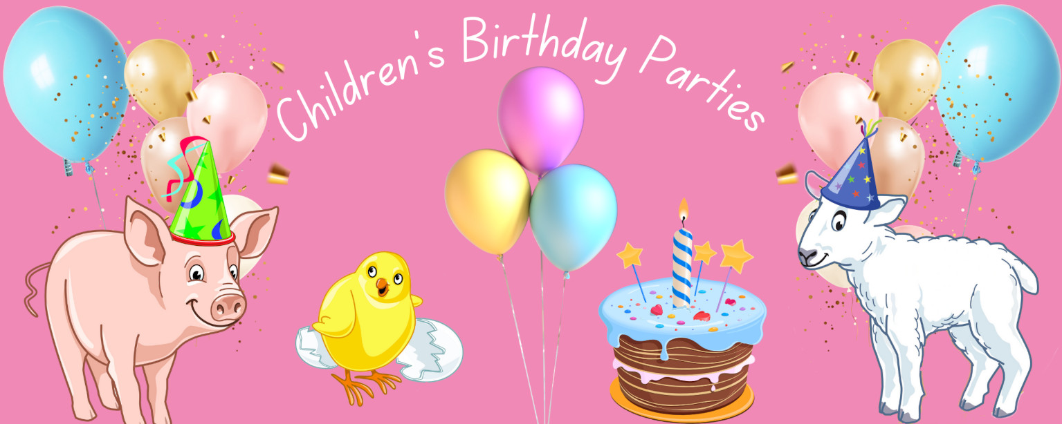 Birthday party banner